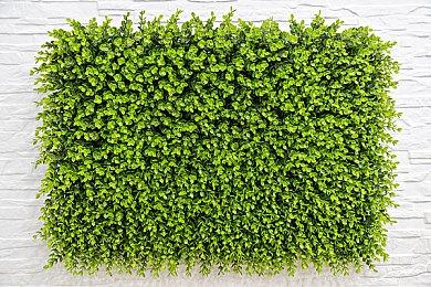 2023年6月份游戏版号公布：《燕云十六声》等游戏过审